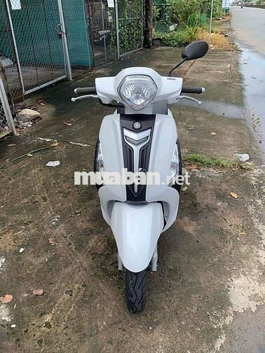 Grande xe mới tinh bs 95