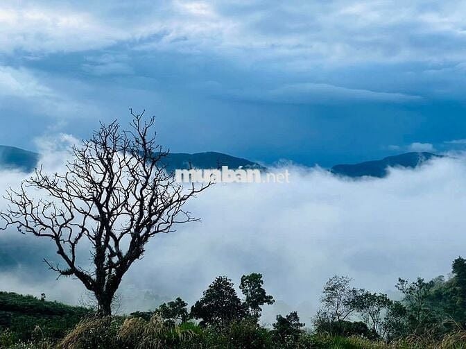 Đất dân chính chủ – chưa qua đầu tư, cơ hội hiếm như mây trời sáng sớm