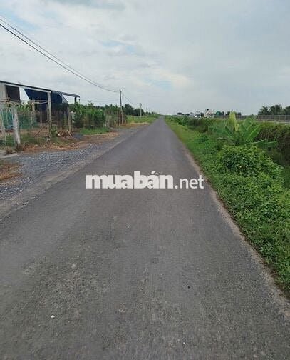 Đất vườn + đất ruộng giá rẻ - chính chủ