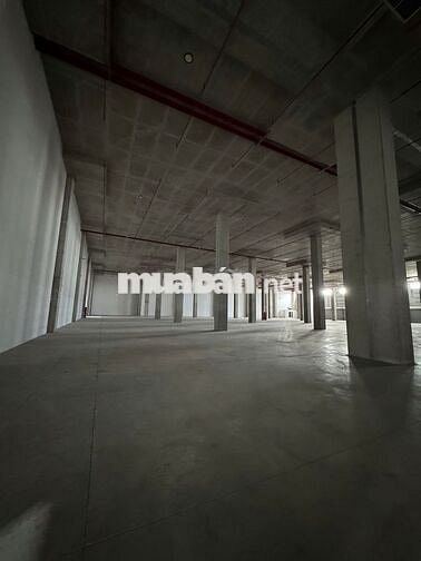 CHO THUÊ KHO XƯỞNG 6.000 – 20.000M² TRONG KCN TÂN PHÚ TRUNG, CỦ CHI