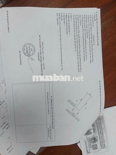 Cần bán gấp đất thổ cư mặt đường lớn xã Phú Điền, Đồng Tháp