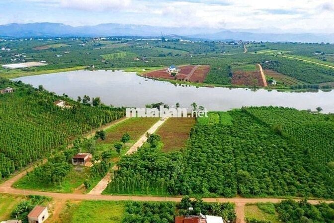BÁN ĐẤT VIEW HỒ PHÚC HƯNG – LÂM HÀ, LÂM ĐỒNG