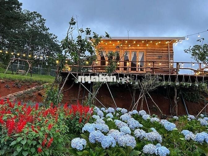 Bán lỗ nhanh lô đất 2946m2 giá 688 Triệu view săn mây Phường 11 Đà Lạt