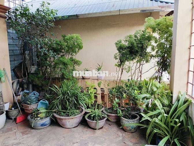 Có việc bán gấp nhà trung tâm Kim Mã, Ba Đình - 31m 5 tầng 7,98tỷ