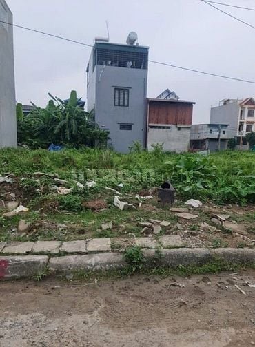 Bán 100m2 đất tuyến 1 chung cư Văn Cú An Đồng An Dương Hải Phòng