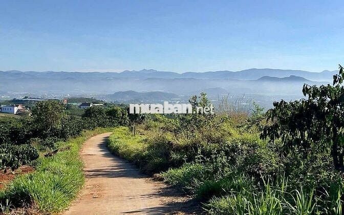 Chủ kẹt tiền cần bán mảnh đất view sông đẹp xã Tân Nghĩa, Lâm Đồng.