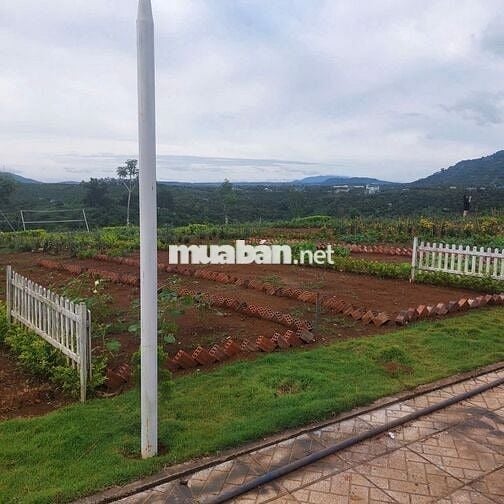 Bán gấp lô đất nền gần quốc lộ 20, Lâm Đồng