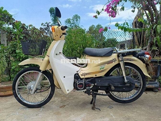 Cup Halim 50cc không cần bằng lái