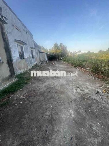 ĐẤT VƯỜN (5x27), ĐƯỜNG OTO, HIỆP PHƯỚC, NHÀ BÈ, CHỈ NHỈN 1 TỈ Ngày đă