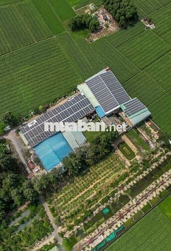 Cho thuê Xưởng sản xuất đa ngành 2500 m2 Củ Chi