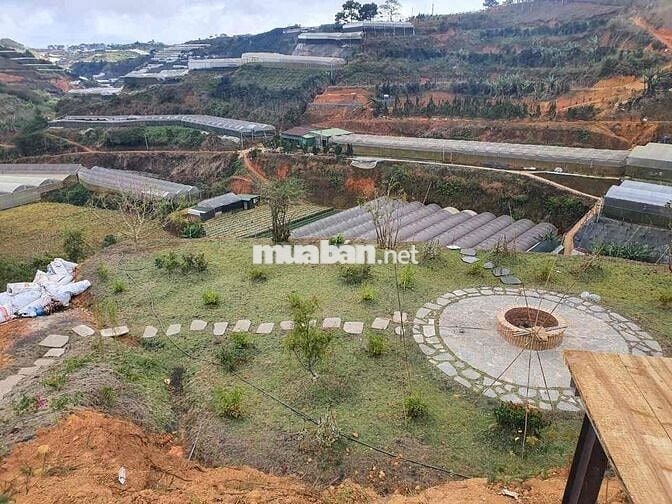 Cắt lỗ lô 1032m2 tiện phân lô view đẹp săn mây Đà Lạt công chứng ngay