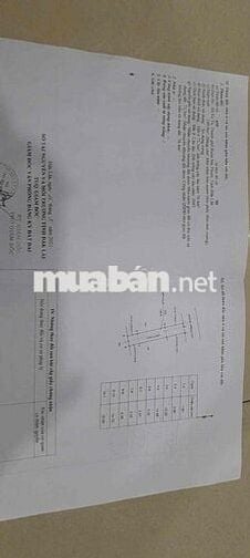 mặt tiền nhựa B5 Mậu Thân cách chợ đầu mối 300m không bị quy hoạch