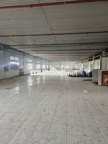 Cho thuê kho xưởng 2.500m2 xã Thái Mỹ, Củ Chi, PCCC tự động thẩm duyệt