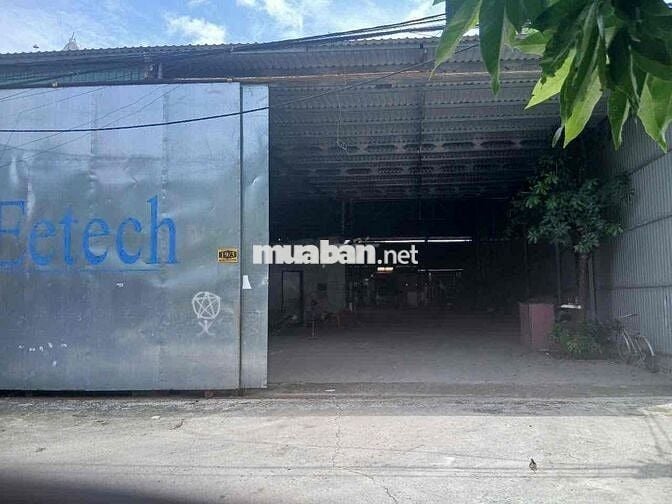 Cho thuê kho xưởng rộng 1000m2 ở trung an củ chi