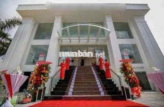 Mặt tiền Kinh Doanh 1 trệt 2 Lầu 20x40 tổng 2400m2