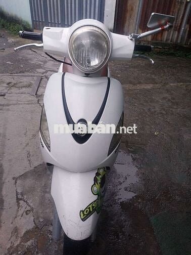 ELIZABETH BS BÌNH ĐỊNH