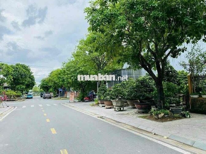 🚨 Bán đất - Mặt tiền Hoàng Văn Thụ - KQH Kiểm Huệ