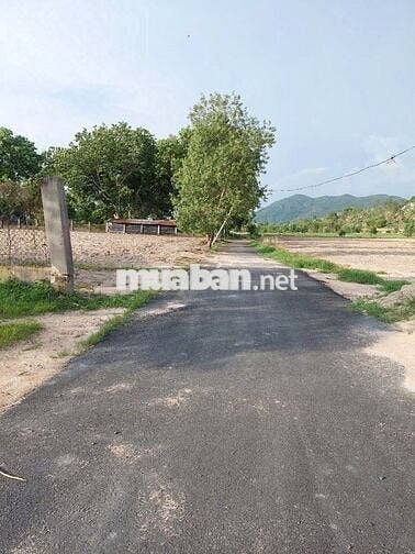 Bán đất sổ đỏ phường Tân Phước Vũng Tàu