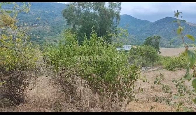 BÁN ĐẤT GIÁ RẺ 2.000m² – CAM PHƯỚC ĐÔNG, TP. CAM RANH, KHÁNH HÒA 