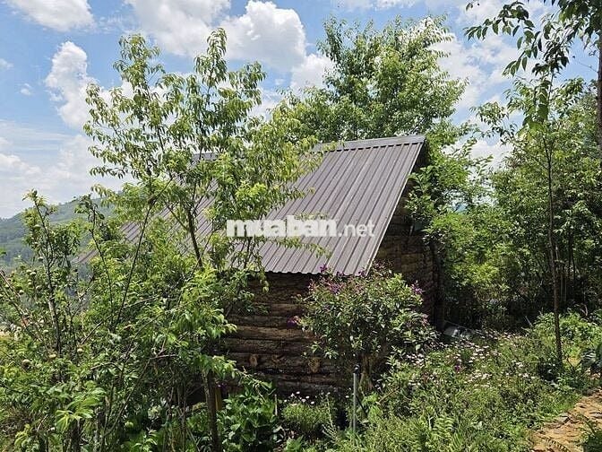 Một vườn đồi 1200m² yên bình ở Đồng Nai, nơi “hương mùa vương áo" 🌿