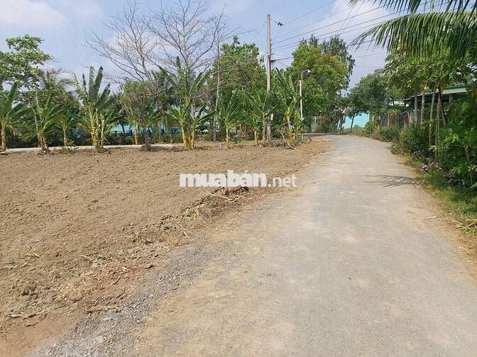 Đất rẻ gần 1000m2 đất thổ cư mặt tiền đường nhựa kế thành phố Gò Công