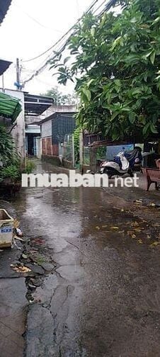 Cho thuê nhà điện nước riêng giá rẻ 3tr5