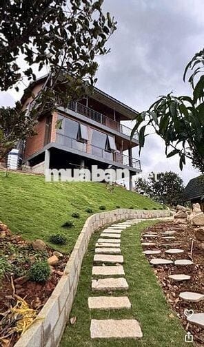 🌿Vườn đồi 2400m² Đồng Nai, Không gian sống xanh yên bình chỉ 850tr/sào