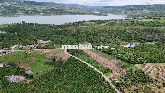 ĐẤT THỔ CƯ DI LINH  -  GẦN CHỢ ĐINH LẠC - 75M2 - CHỈ 275 TRIỆU