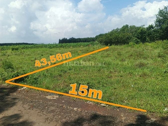 Công ty Đấu giá hợp danh Lam Sơn Sài Gòn THÔNG BÁO ĐẤU GIÁ TÀI SẢN