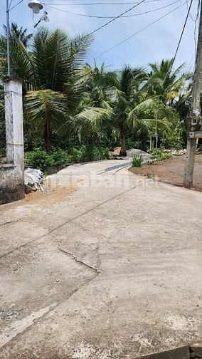 Chính chủ cần bán đất đẹp có thổ cư đường ô tô tới đất .có giáp rạch 