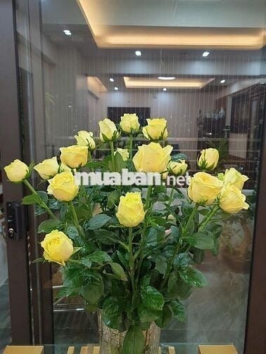 Cho thuê căn hộ chung cư 02 phòng ngủ diện tích 80 m2