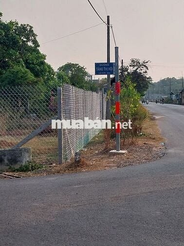 ĐẤT MẶT TIỀN THỔ CƯ 100% đường Tăng Thị Hội