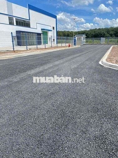 3900m NHÀ XƯỞNG KCN BẾN CÁT CHO THUÊ