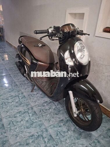 Scoopy 2024. Khóa ga biển 43 Cực đẹp
