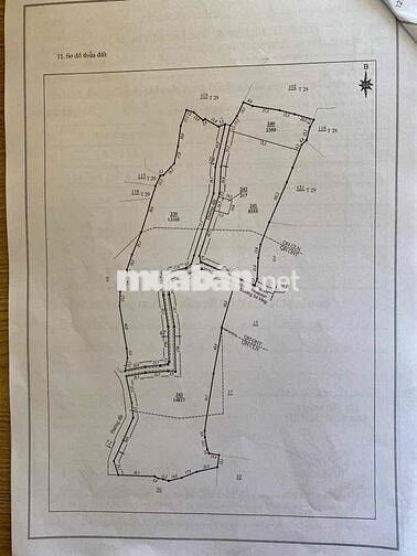 SỞ HỮU KHU ĐẤT NGHỈ DƯỠNG GẦN 3HA TẠI LÂM HÀ – LÂM ĐỒNG