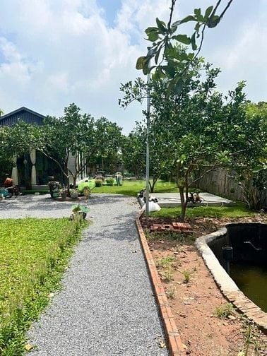 🏗️ THẾ VẠN NHÀ ĐẤT – BÁN 5.000M² ĐẤT XÃ ĐÔNG MỸ – THANH TRÌ – ĐƯỜNG 1