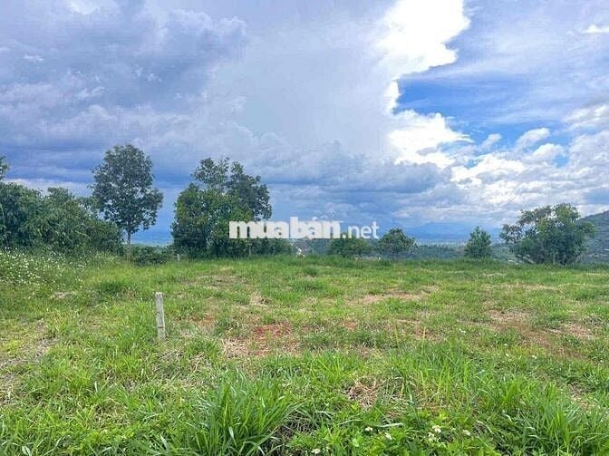 Cần bán gấp lô đất XãLộc Đức 146m2 thổ cư view săn mây công chứng ngay