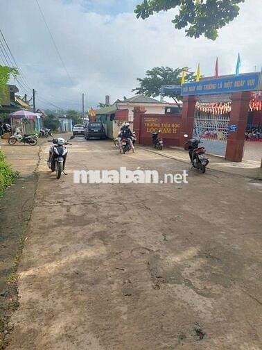 Chính Chủ Cần Bán Lô Đất Thôn 8, Xã Lộc Nam Bảo Lâm, Lâm Đồng