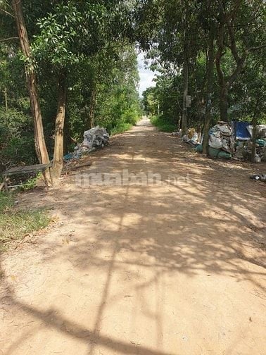 Đất Lúa Đường Lệ Nhà Nước, Xuân Thới Thượng, HM Giá Rẻ 