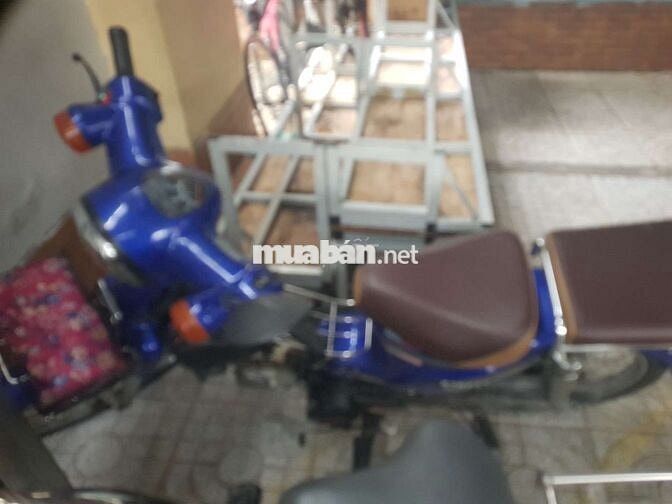 Cub dọn kiểng.  Đẹp ken