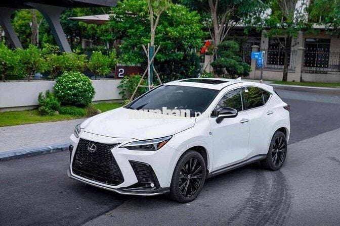 Lexus_NX350_F Sport Model 2024 Bank 90%