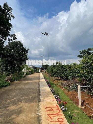 🌿 BÁN ĐẤT THANH BÌNH (BÌNH THẠNH CŨ) – GIÁ CHỈ 580 TRIỆU 🌿