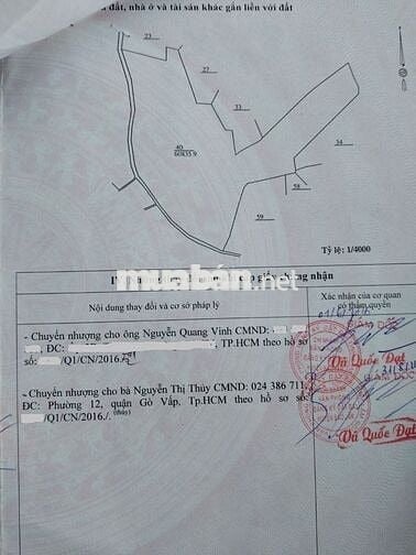 Bán Trang trại 75000m2 Lộc Nam- Bảo Lâm- Lâm Đồng cũ