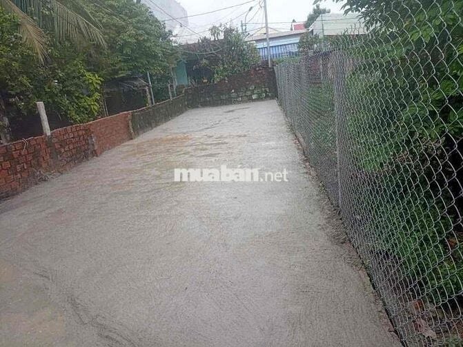 💥Bán đất 3MT đường Bình Thái 4 - Hoà Thọ Đông- Cẩm Lệ - Đà Nẵng