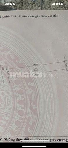 200m2 ĐẤT VẬT LẠI BA VÌ RẺ CHO VUÔNG NHƯ BÁNH TRƯNG OTO VÀO NHÀ  CHO A