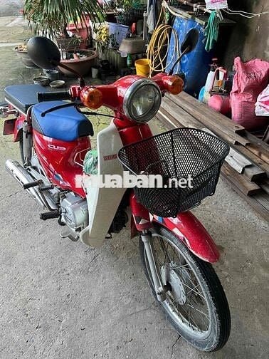 bán xe cup học sinh