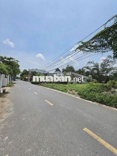 Cần sang nhanh 500m2 đất MT DH519 đường nhựa 32m giá rẻ