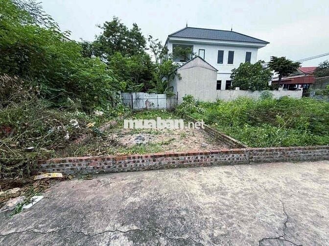 SÁT ĐƯỜNG DẪN CẦU TỨ LIÊN- NGÕ NÔNG- Ô TÔ VÀO