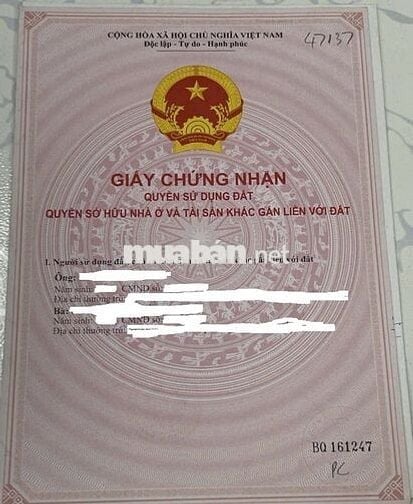 Bán nhà và phòng trọ tại khu vực chợ An Nhơn, Gò Vấp