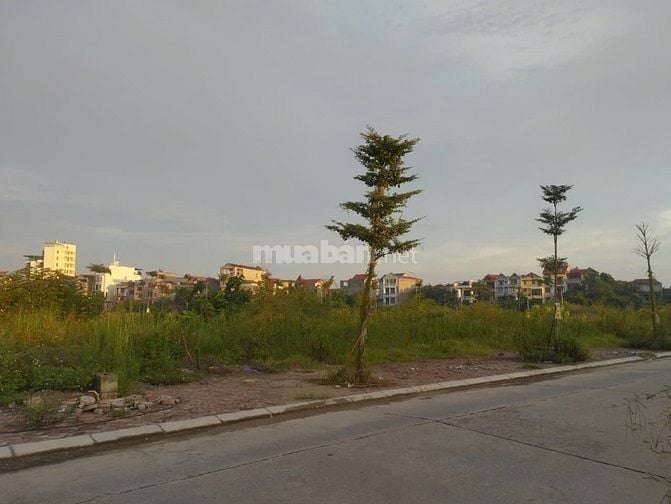 Chính chủ bán vài lô khu tam giác phù khê-từ sơn